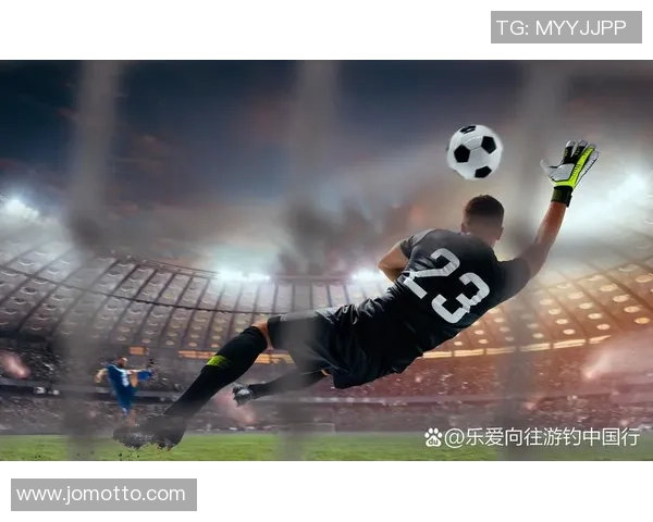 足球swe的魅力与挑战探索这项运动的未来发展与影响